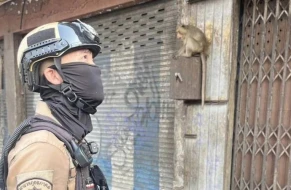 Bu ölkədə meymunlar küçələrdən bir-bir toplanacaq