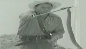 1970-ci ildə ilan zəhərindən dərmanın hazırlanması – AzTV-nin “Qızıl Fond”undan NADİR GÖRÜNTÜLƏR