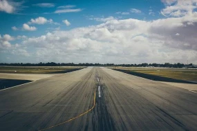 Bu ölkədə göyərtəsində 180 sərnişini olan təyyarə it sürüsü ilə toqquşdu