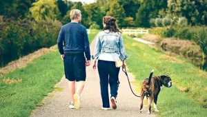 Sağlam ürəyin sirri: 6 saat otur, 5 saat ayaq üstə dur