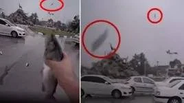 İranda göydən balıq yağdı - VİDEO