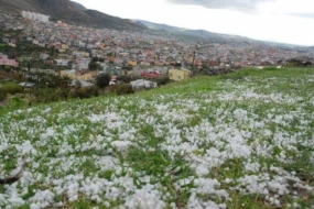 Bəzi rayonlara dolu düşüb - FAKTİKİ HAVA