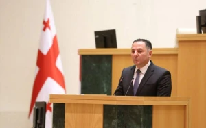 Gürcüstanın daxili işlər naziri nümayişçilərə xəbərdarlıq etdi