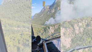 Türkiyədə meşə yanğını başlayıb 