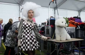 İtlər podiuma çıxdı - Gərgin yarışda maraqlı görüntülər