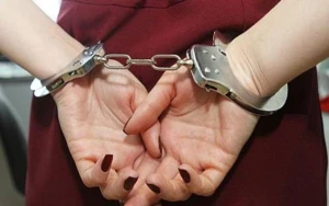 Viza düzəltmək adı ilə 202 şəxsi aldadan qadın həbs edildi