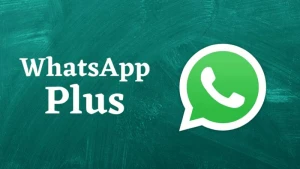 Dünyada ən çox \"WhatsApp+\" istifadəçisi Azərbaycandadır