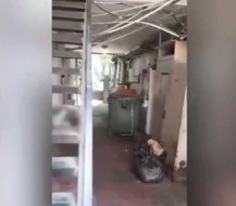 Bakının ən bahalı restoranlarından birinin mətbəxində antisanitar vəziyyət var? - AÇIQLAMA
