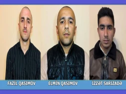 İcarəyə götürdükləri avtomobillə qoyun oğurlayan şəxslər ƏLƏ KEÇDİ - VİDEO