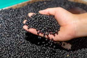 Sağlam arıqladır, güclü protein mənbəyidir 