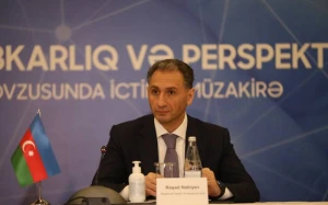 Nazirə yeni vəzifə verildi 