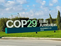 COP29 gündəliyi - 16.11.2024