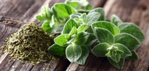 Limondan 100 dəfə güclü və faydalı - Bütün mikrobları öldürür