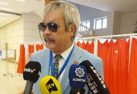 Seçkilərdə bütün partiyaların fəallığı müşahidə olunur - Beynəlxalq müşahidəçi