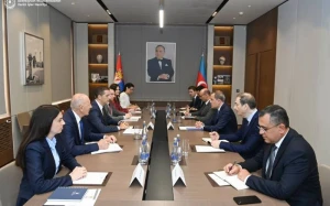 Azərbaycan və Serbiya XİN rəhbərlərinin müzakirə etdiyi məsələlər açıqlandı