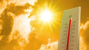 Bu ölkədə həddindən artıq istilər 248 nəfərin həyatına son qoydu