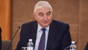 \"Şikayətlərin az olmasının səbəbi seçkinin normal keçməsidir\" - MSK sədri