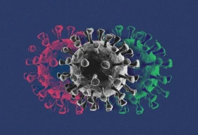 ABŞ-ın 25 ştatında COVID-19 virusunun yeni ştamı yayıldı