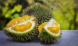 Bu ekzotik meyvə artıq metroda avtomatlarda satılır - FOTO