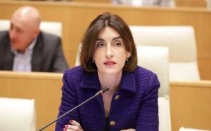 \"Həqiqət uğrunda mübarizə aparmışıq\" - Gürcüstanın XİN başçısı