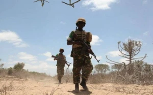 Malidə silahlılar avtomobil karvanına hücum etdi 