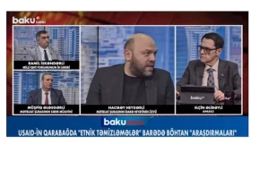 \"Azərbaycan USAİD-i ABŞ-dan daha öncə ifşa etmişdi\": Hacıbəy Heydərli - VİDEO