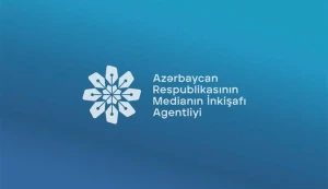 MEDİA saytlara kütləvi kiber hücumlarla bağlı məlumat yaydı