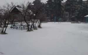Şaxtalı və qarlı hava şəraiti davam edir - FAKTİKİ HAVA