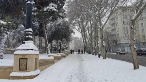Bakıya 12 sm qar yağdı