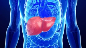 Hepatin C-nin yeni müalicə metodu tapıldı
