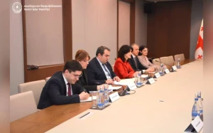 \"Gürcüstanda xarici qüvvələrin ölkənin daxili işlərinə müdaxilə cəhdləri olub\" - Boçorişvili