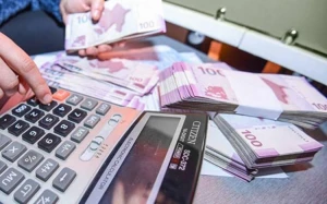 Azərbaycanın dövlət borcu dünya göstəricisindən çox aşağıdır
