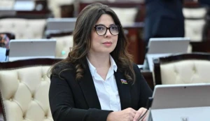 Xanım deputata yeni vəzifə verildi