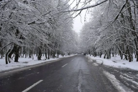 Bu rayonlara qar yağır 
