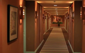 Türkiyədə xeyli sayda hotel bağlanacaq 