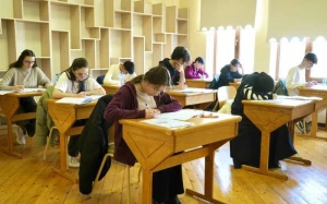 \"Yeddi şagird imtahandan xaric edilib\" - DİM
