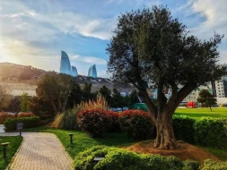 Sabah hava necə olacaq?