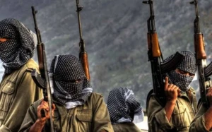 \"PKK özünü buraxır\" - KİV