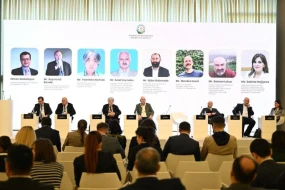 \"Azərbaycanın qədim insan məskənləri dünya irsinin bir hissəsi kimi: təcili qorunmaya ehtiyac\" - Fotolar