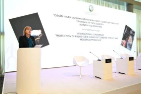 \"Azərbaycanın iqlim dəyişikliyi təşəbbüsünü yüksək qiymətləndiririk\" 