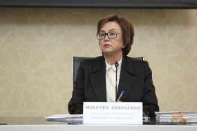 \"AYB üzvləri dil imtahanı versinlər\" - Məleykə Abbaszadədən ÇAĞIRIŞ