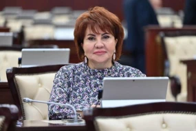 \"DTX-nin yaranması və inkişafı Azərbaycanın dövlətçilik tarixində mühüm hadisədir\" - Afət Həsənova