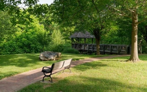 Bakıda bu ərazidə yeni park salınacaq