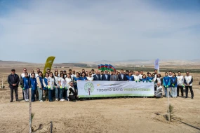 Müşfiqabad qəsəbəsində ağacəkmə aksiyası keçirildi - FOTOLAR