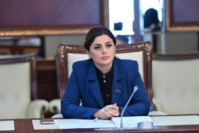 \"Ərzaq təhlükəsizliyi risk altındadır\" -  Pərvanə Vəliyeva