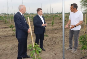 İlham Süleymanov Bərdədə vətəndaşları qəbul etdi: Təsərrüfatlara baş çəkdi - FOTO
