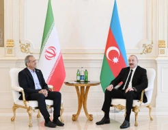 Prezidentlərin məhdud tərkibdə görüşü BAŞLADI