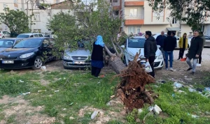 Fırtına ağacları aşırdı - Xəsarət alan...&nbsp;