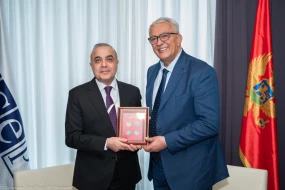 Azay Quliyev Monteneqro Parlamentinin sədri ilə görüşdü - FOTO