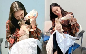 Leyla Əliyevanın şir balası ilə GÖRÜNTÜLƏRİ